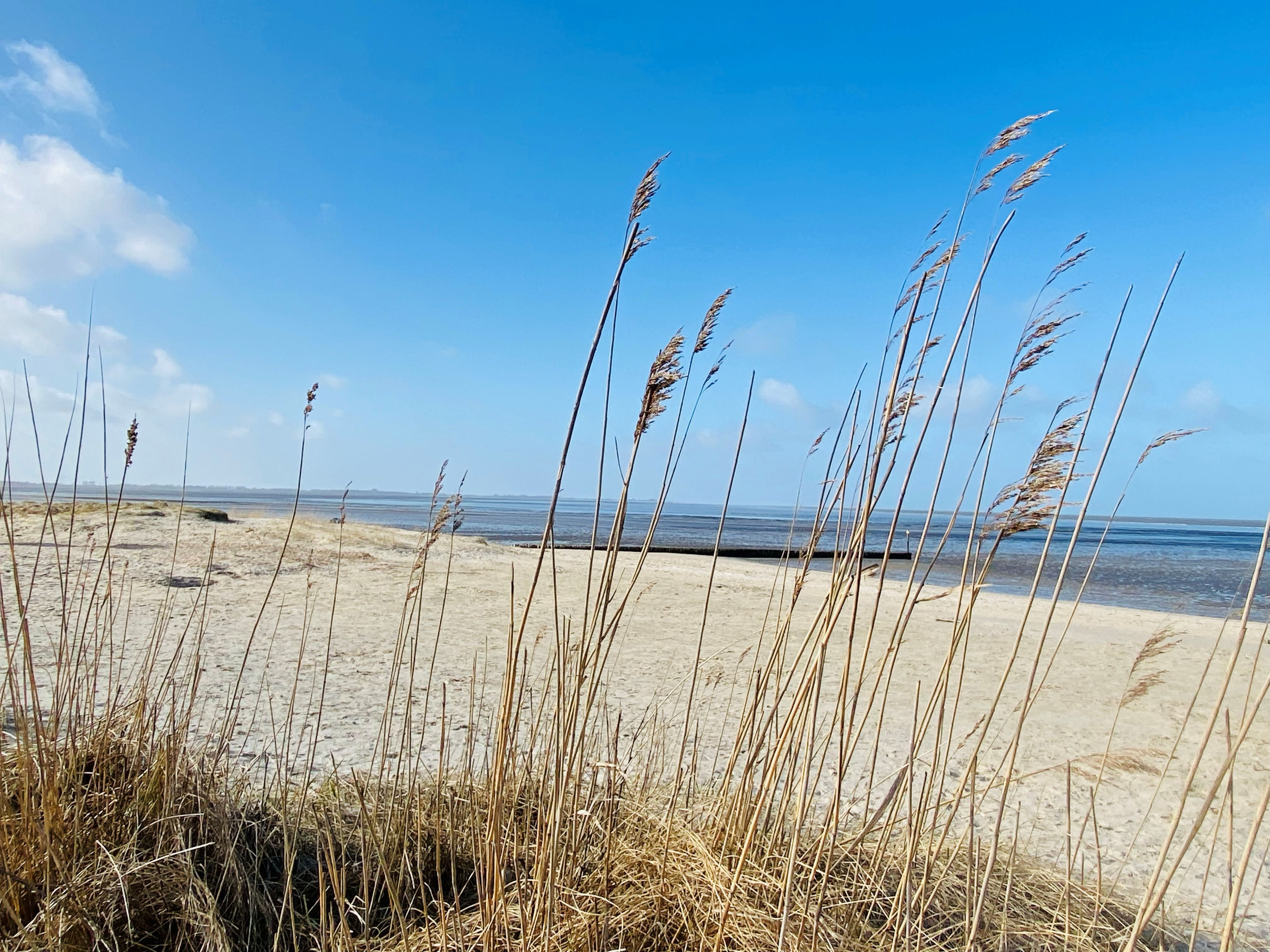 Strand von Hooksiel an der Nordsee